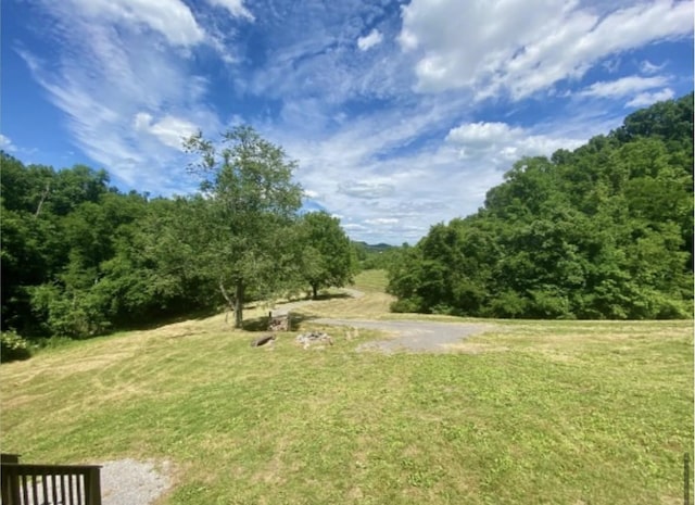179 Puncheon Camp Ln, Bell Buckle, TN 37020 - photo 35