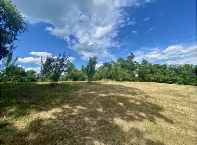 179 Puncheon Camp Ln, Bell Buckle, TN 37020 - photo 43