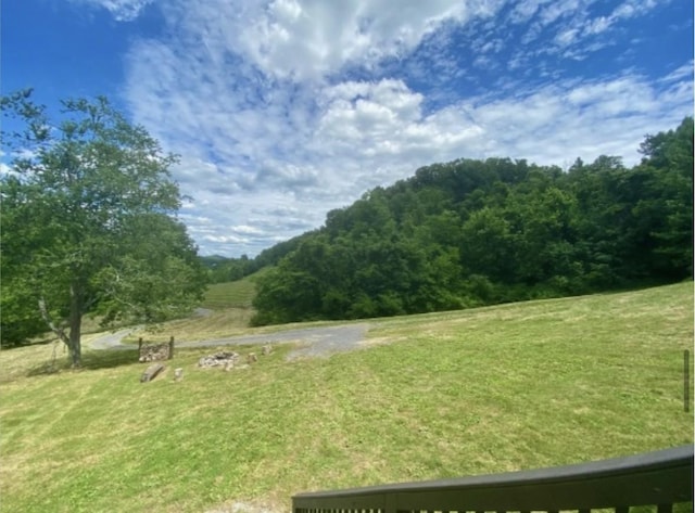179 Puncheon Camp Ln, Bell Buckle, TN 37020 - photo 29