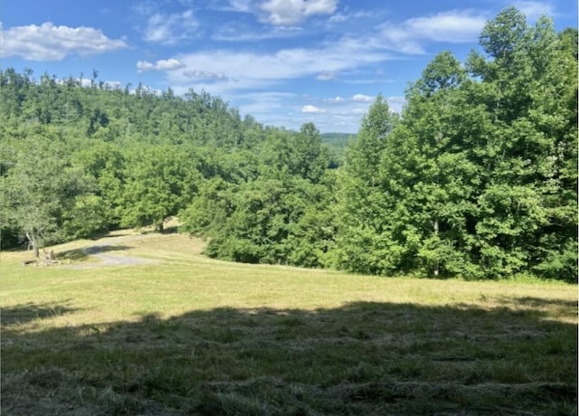 179 Puncheon Camp Ln, Bell Buckle, TN 37020 - photo 55