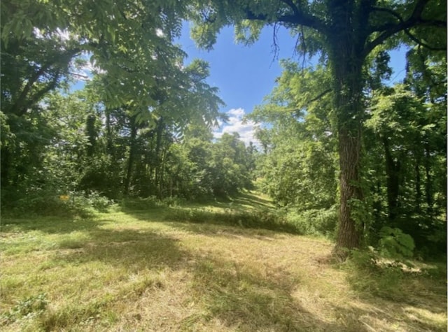 179 Puncheon Camp Ln, Bell Buckle, TN 37020 - photo 47