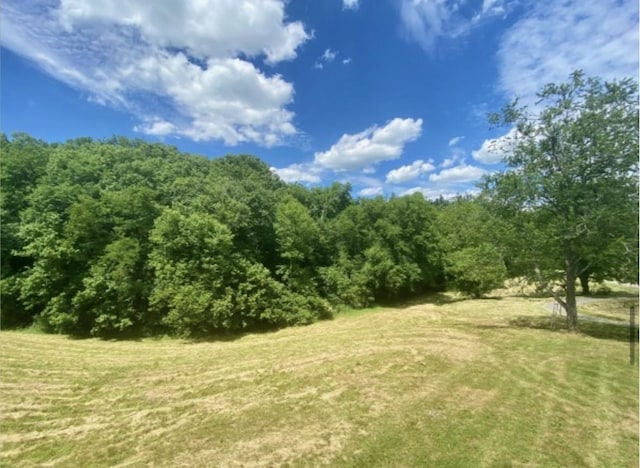 179 Puncheon Camp Ln, Bell Buckle, TN 37020 - photo 31