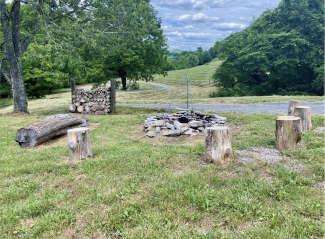 179 Puncheon Camp Ln, Bell Buckle, TN 37020 - photo 37