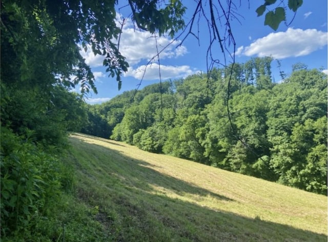179 Puncheon Camp Ln, Bell Buckle, TN 37020 - photo 49