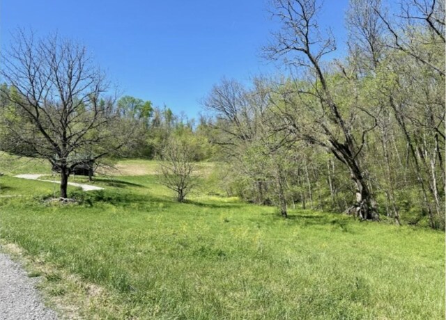 179 Puncheon Camp Ln, Bell Buckle, TN 37020 - photo 58