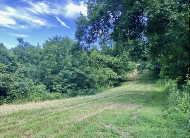 179 Puncheon Camp Ln, Bell Buckle, TN 37020 - photo 48
