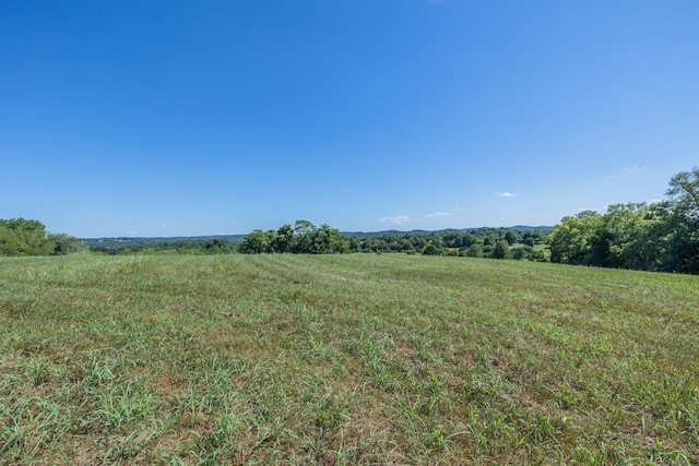 1091 Bugscuffle Rd, Wartrace, TN 37183