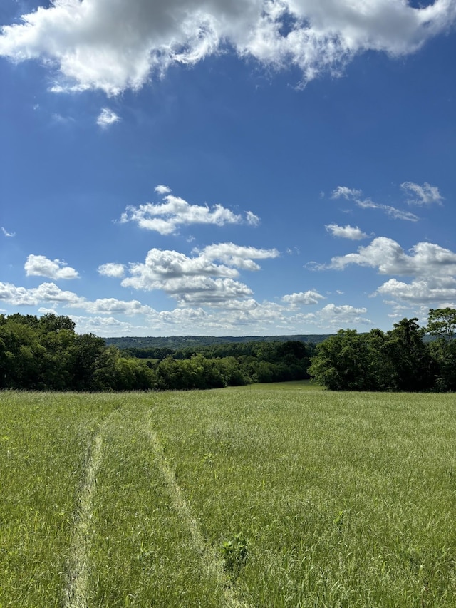 1091 Bugscuffle Rd, Wartrace, TN 37183