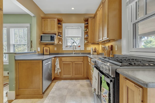 kitchen with a sink, plenty of natural light, stainless steel appliances, and open shelves