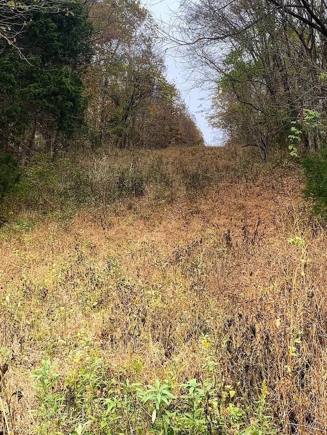 0 Bilbrey Dr, White House, TN 37188