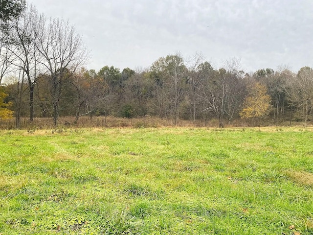 0 Bilbrey Dr, White House, TN 37188