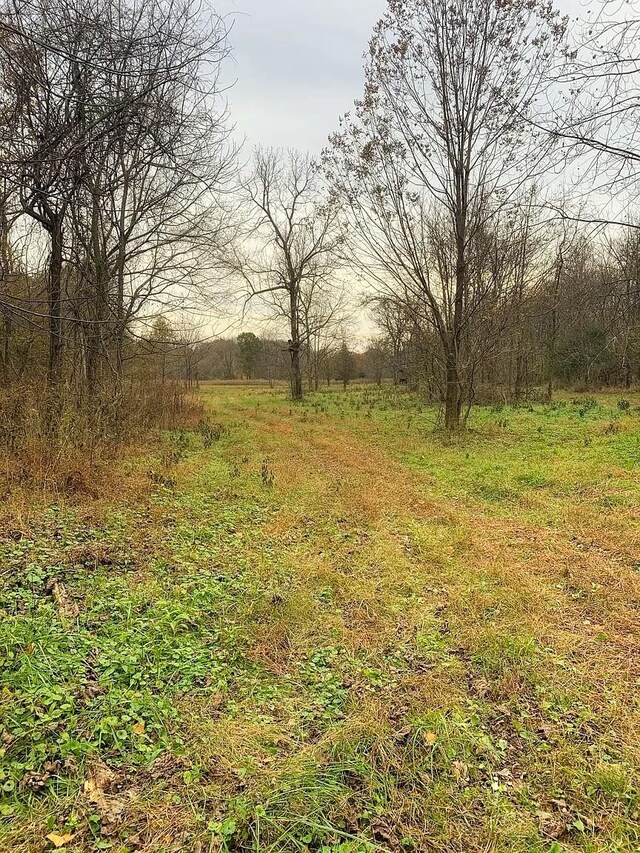 0 Bilbrey Dr, White House, TN 37188