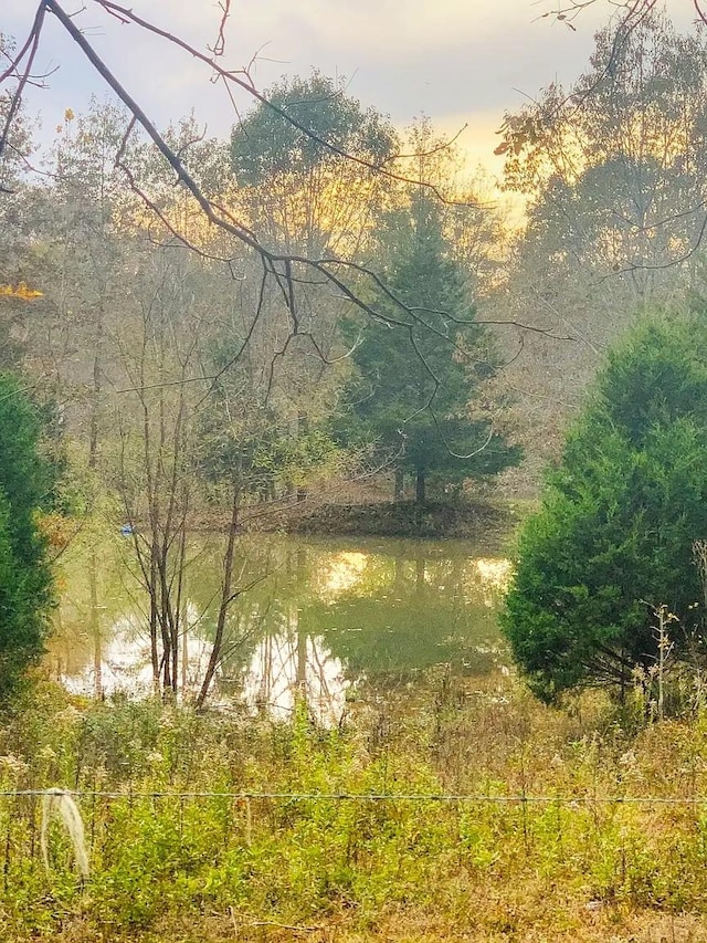 0 Bilbrey Dr, White House, TN 37188