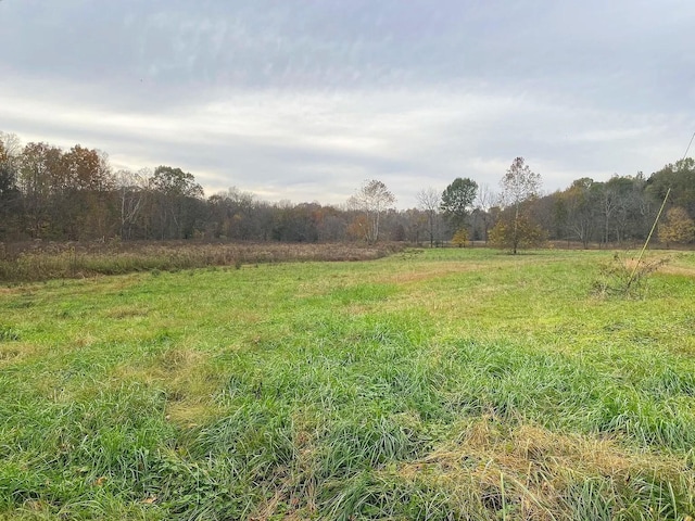 0 Bilbrey Dr, White House, TN 37188