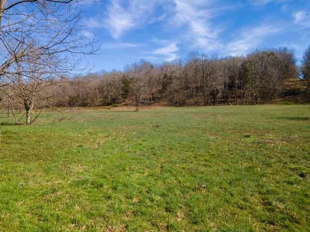 0 Bilbrey Dr, White House, TN 37188
