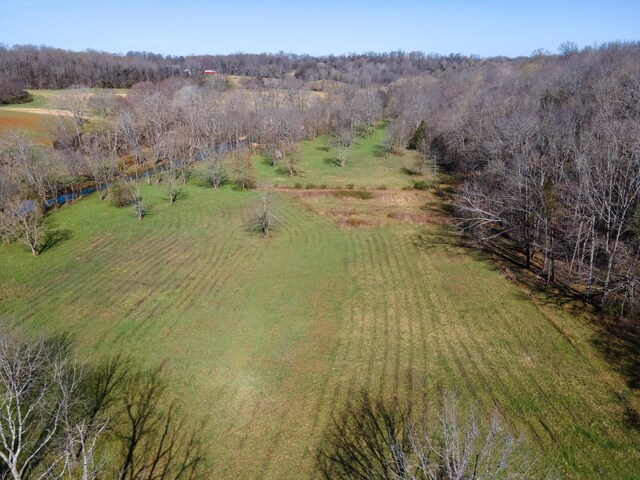 0 Bilbrey Dr, White House, TN 37188