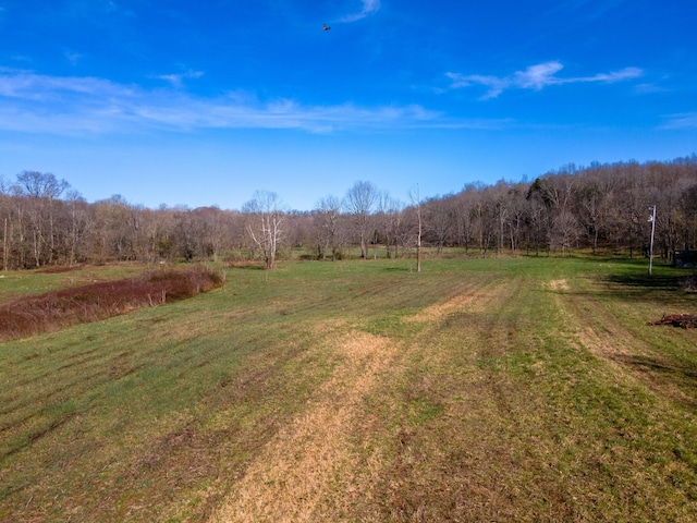 0 Bilbrey Dr, White House, TN 37188