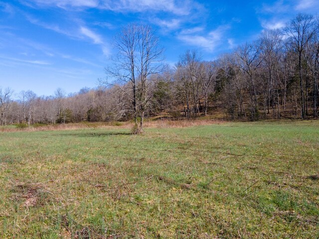 0 Bilbrey Dr, White House, TN 37188