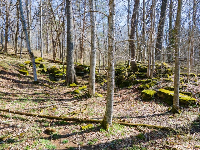 0 Bilbrey Dr, White House, TN 37188