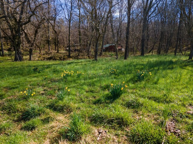 0 Bilbrey Dr, White House, TN 37188