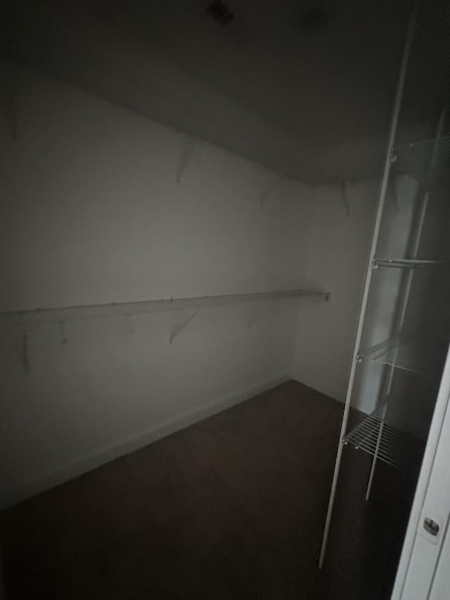 150 Cardinal Crk, Clarksville, TN 37040 - spacious closet with carpet flooring