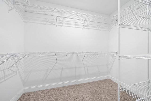 150 Cardinal Crk, Clarksville, TN 37040 - walk in closet with carpet floors