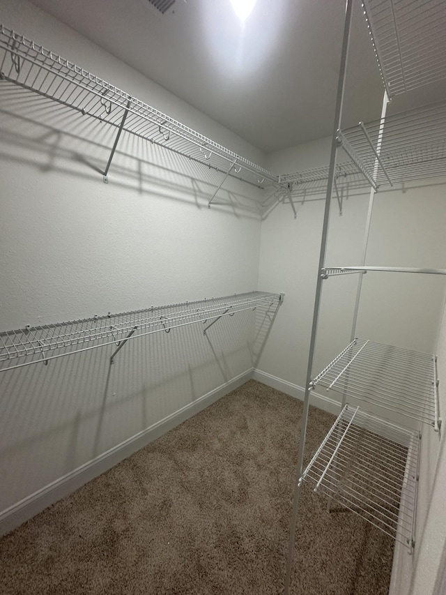 150 Cardinal Crk, Clarksville, TN 37040 - walk in closet with carpet floors