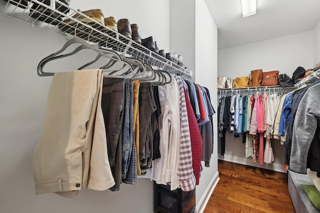 walk in closet featuring wood finished floors
