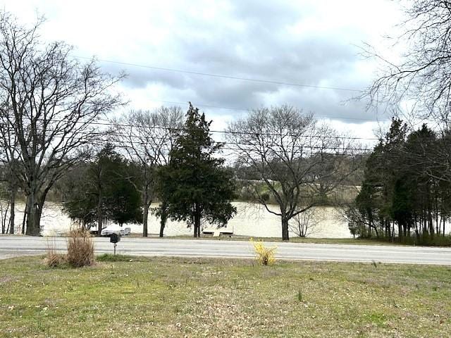 145 Odoms Bend Rd, Gallatin, TN 37066 - photo 3