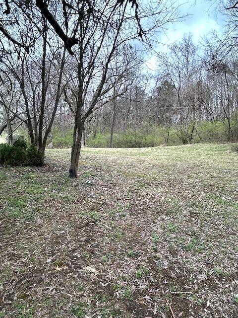 145 Odoms Bend Rd, Gallatin, TN 37066 - photo 7