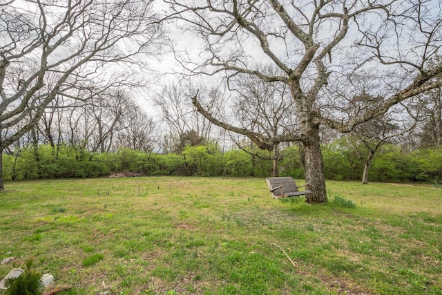 427A Kinhawk Ct, Nashville, TN 37211 - view of yard