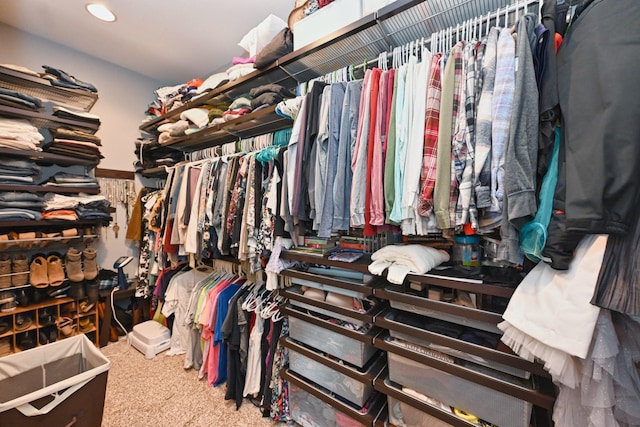 walk in closet featuring carpet floors