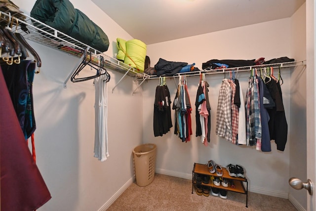 spacious closet featuring carpet