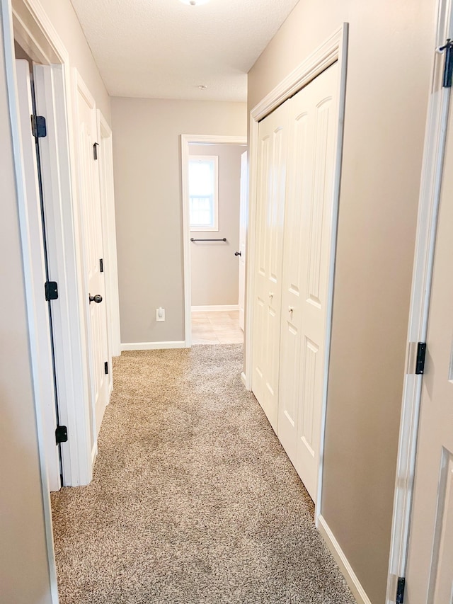 306 Rowand Ct, Clarksville, TN 37042 - photo 8