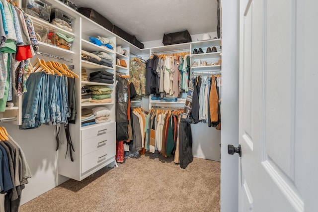 3355 Clearwater Dr, Clarksville, TN 37042 - walk in closet featuring carpet flooring