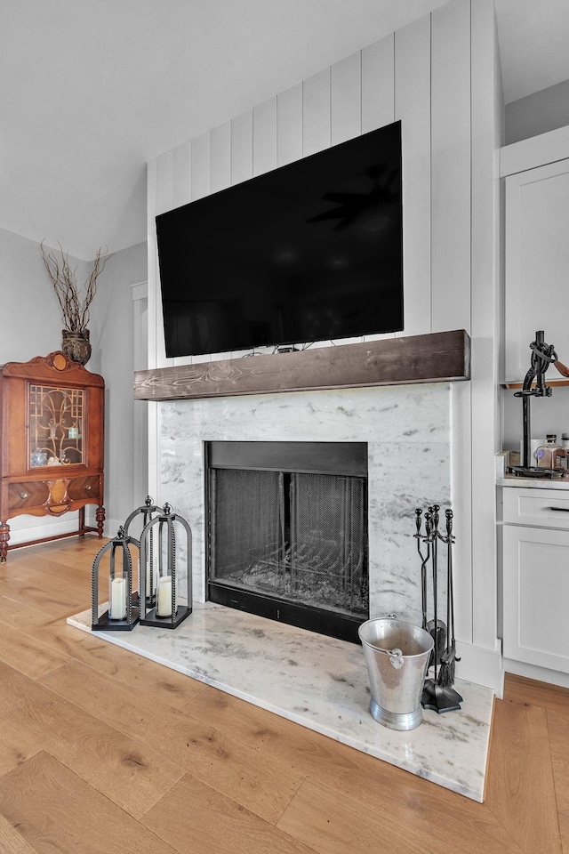 details featuring wood finished floors and a fireplace