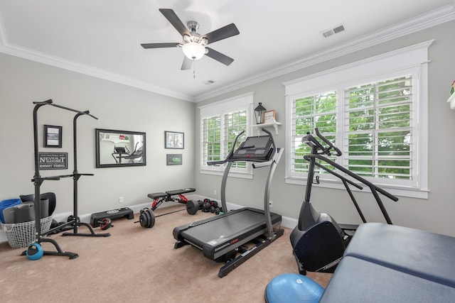 245 Cypress Lake Cv, Arlington, TN 38002 - exercise room with carpet flooring, ornamental molding, and ceiling fan
