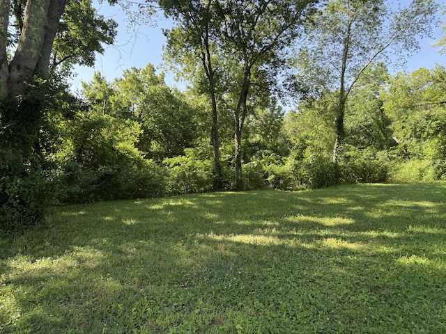 424 E Commerce St, Waverly, TN 37185 - photo 2