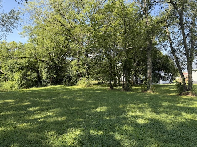 424 E Commerce St, Waverly, TN 37185 - photo 3