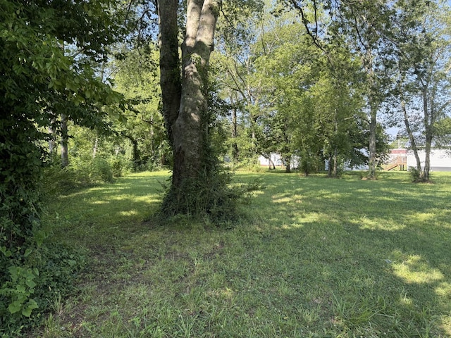 424 E Commerce St, Waverly, TN 37185 - photo 4