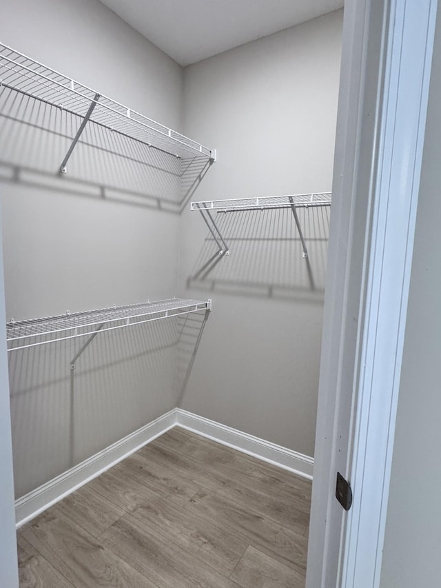 443 Generosity Way, Smyrna, TN 37167 - spacious closet featuring wood finished floors