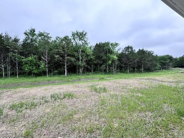 443 Generosity Way, Smyrna, TN 37167 - view of yard featuring a view of trees