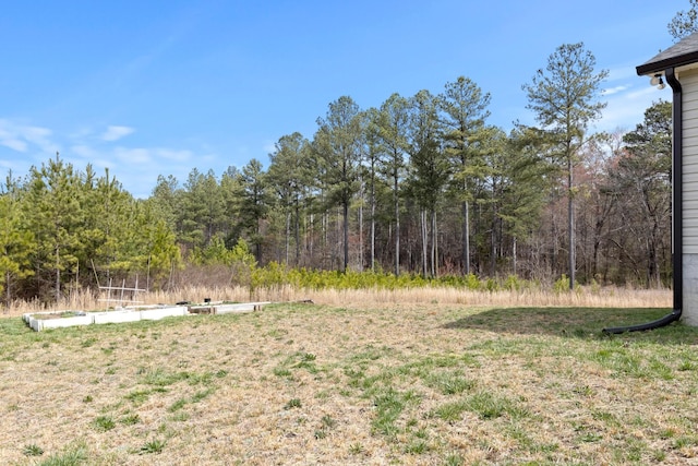 2619 Prospect Rd, Dalton, GA 30721 - view of yard featuring a forest view