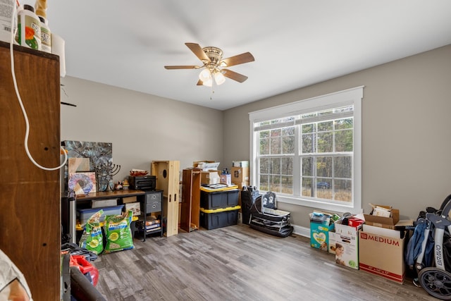 2619 Prospect Rd, Dalton, GA 30721 - storage room with a ceiling fan