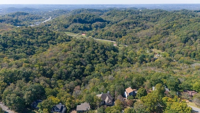 1411 Robert E Lee Ln, Brentwood, TN 37027 - photo 63