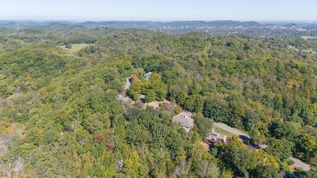 1411 Robert E Lee Ln, Brentwood, TN 37027 - photo 59