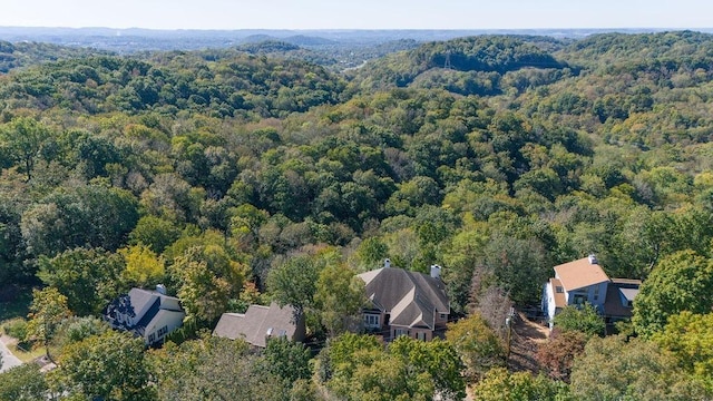 1411 Robert E Lee Ln, Brentwood, TN 37027 - photo 51