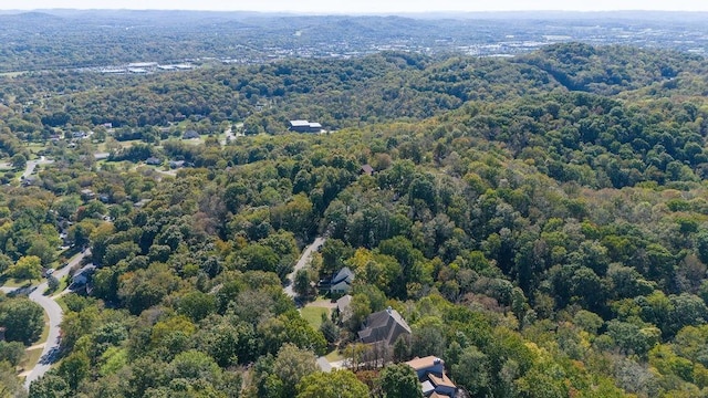 1411 Robert E Lee Ln, Brentwood, TN 37027 - photo 61