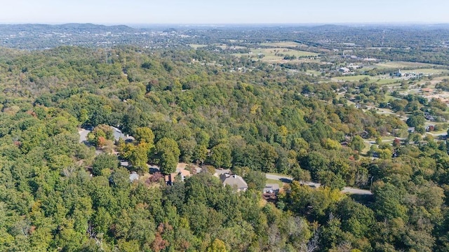 1411 Robert E Lee Ln, Brentwood, TN 37027 - photo 56