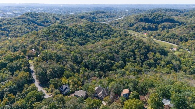 1411 Robert E Lee Ln, Brentwood, TN 37027 - photo 58